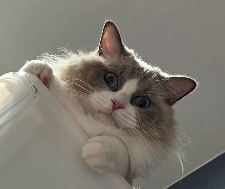 Y&L Nailの内観・外観2