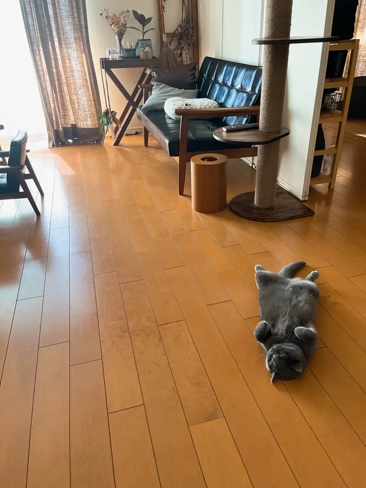 atelier  mofの内観・外観3