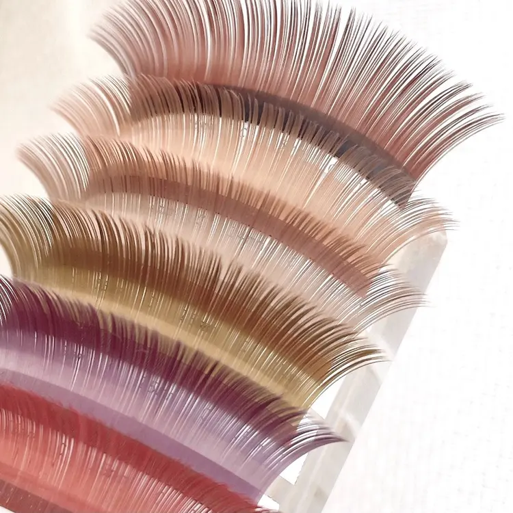 LaMia.C ラミアの内観・外観3