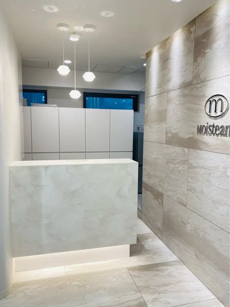 モイスティーヌ日本橋の内観・外観2