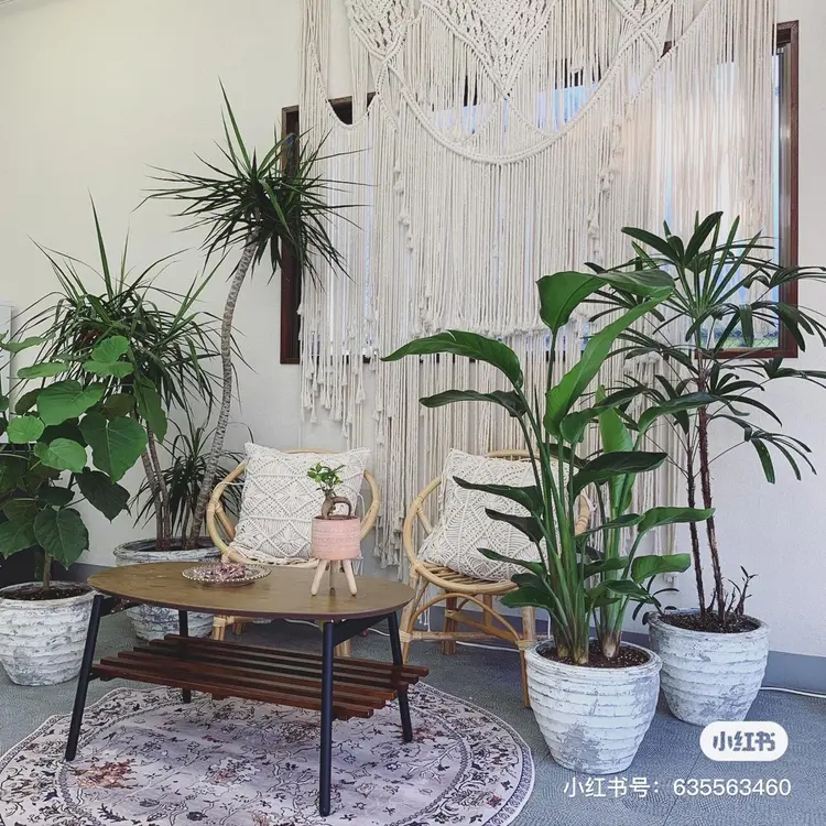 musee artの内観・外観2