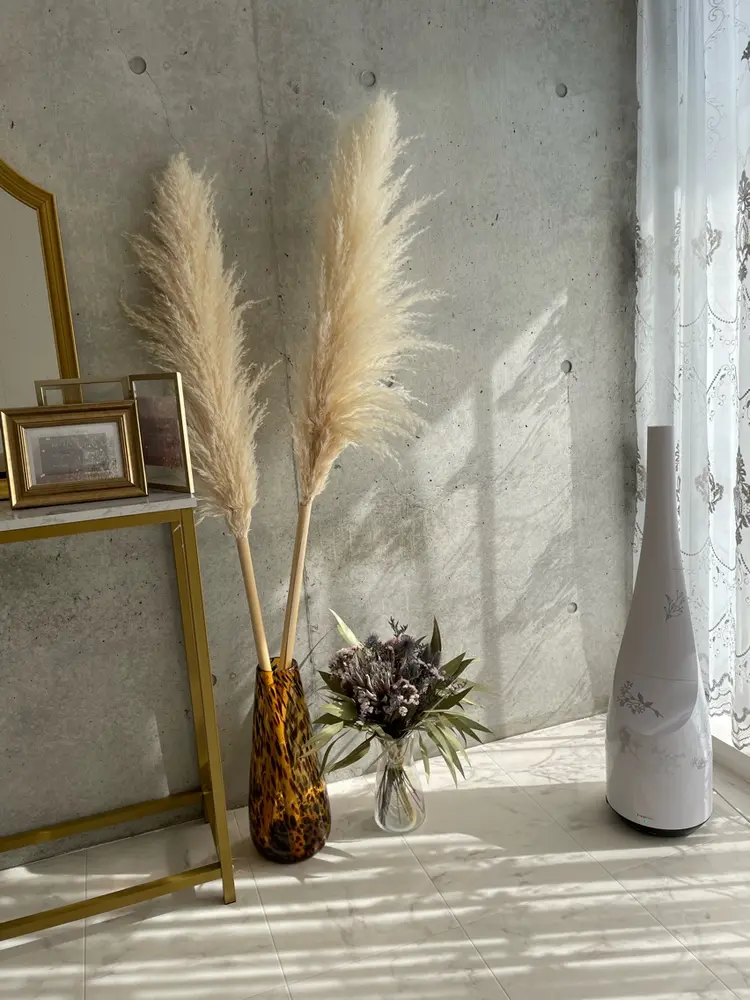 elyの内観・外観1