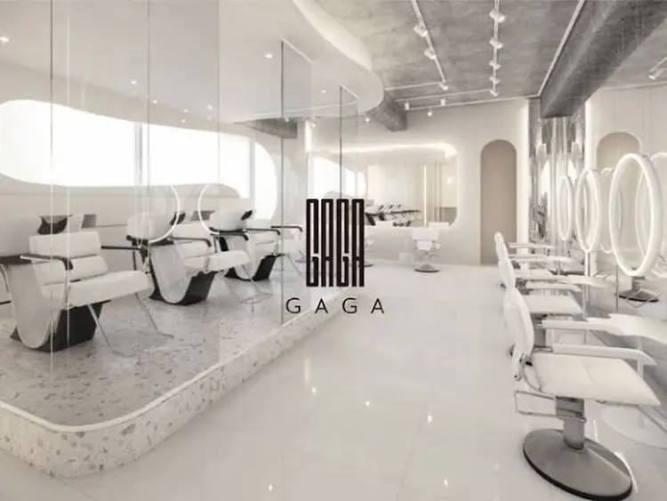 GAGAの内観・外観1