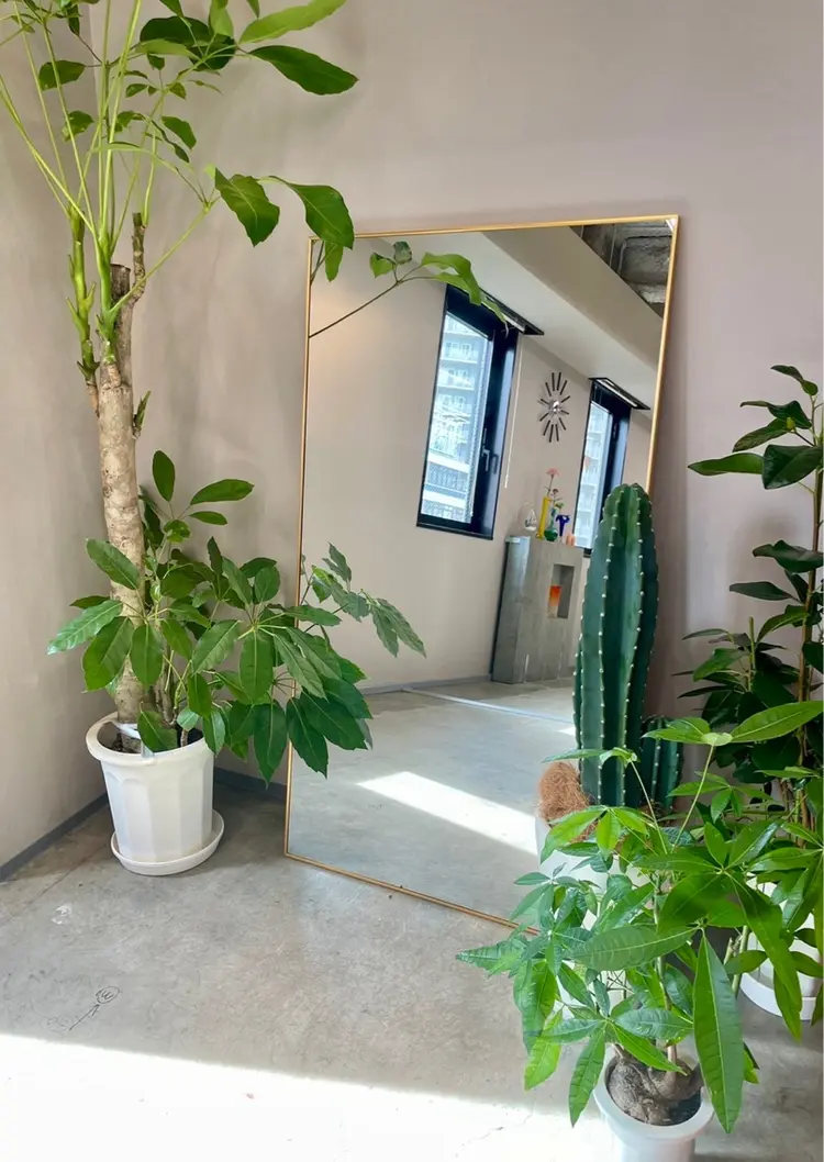 copeuの内観・外観2