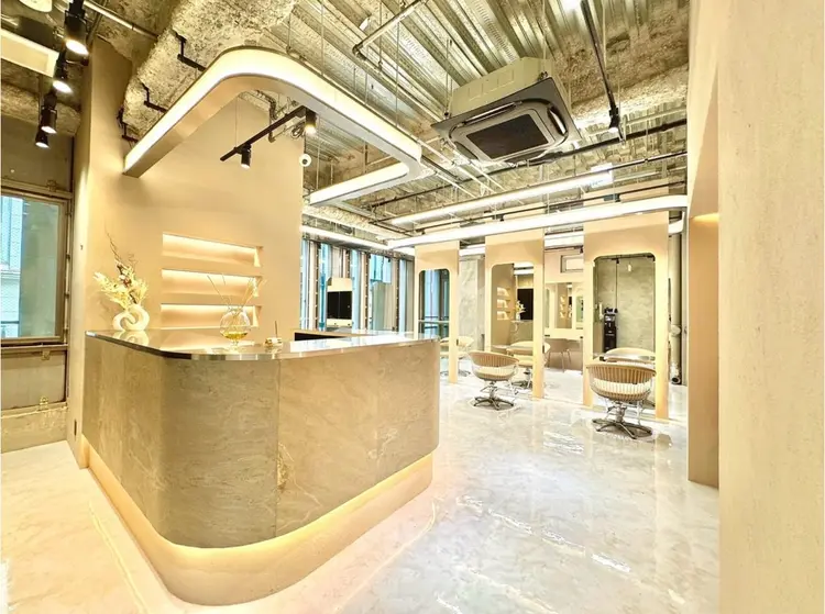 D.I.E.V.A銀座  艶髪/美髪髪質改善＆トリートメント【ディーバ】の内観・外観1