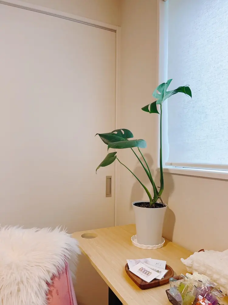 Bloom Nail Salonの内観・外観3