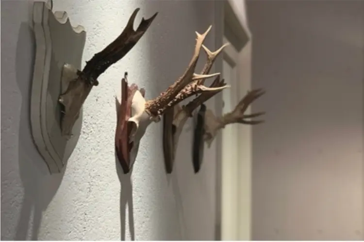 La Ricaの内観・外観3