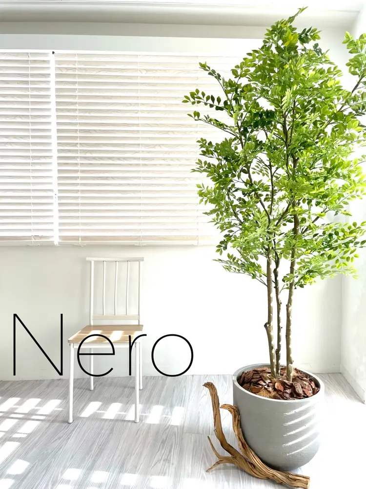 Nero(ネロ)の内観・外観2