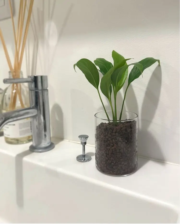 howliteの内観・外観1