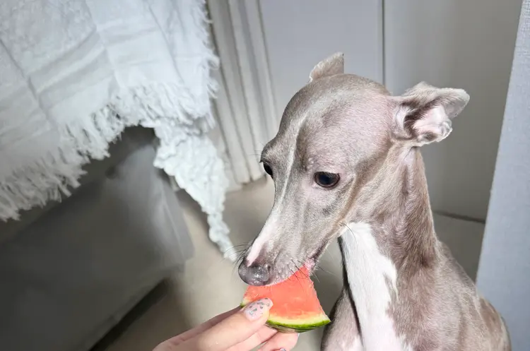 NAIL SALON pointilléの内観・外観3