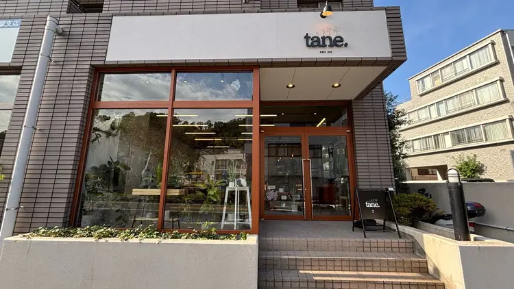 tane.の内観・外観3