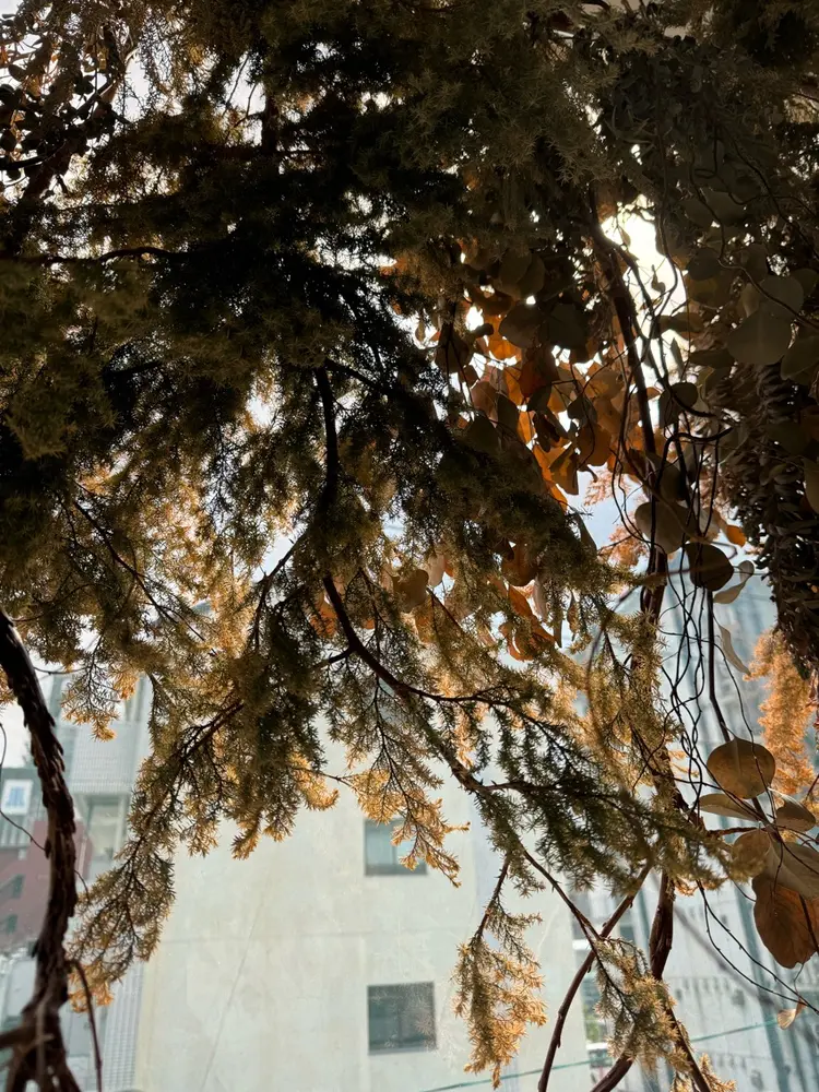 Hair Design BONの内観・外観1