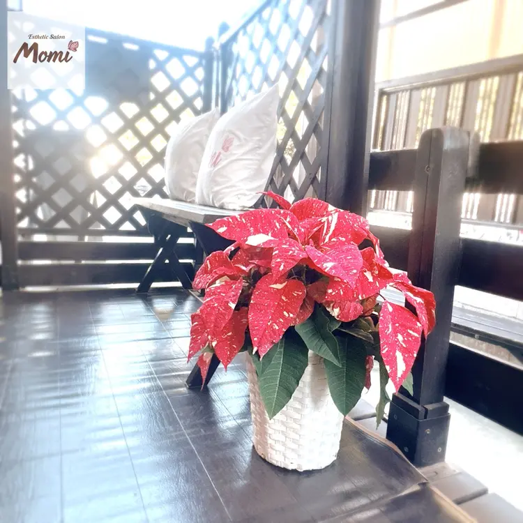 エステティックサロンMomiの内観・外観2