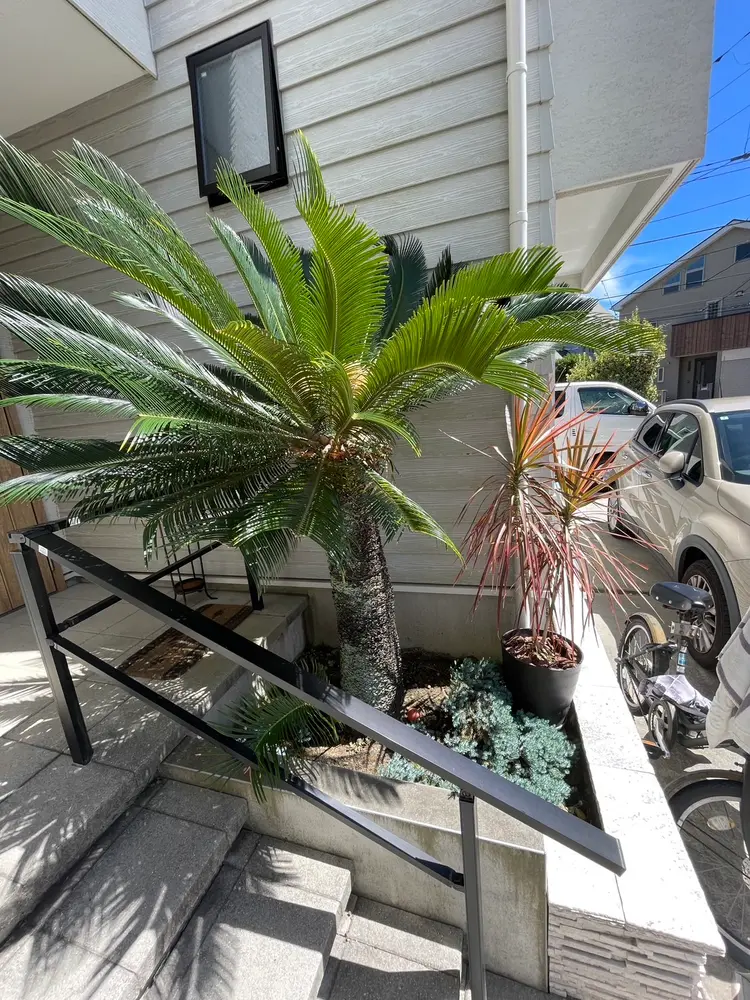 シミケア専科Babyfaceの内観・外観2