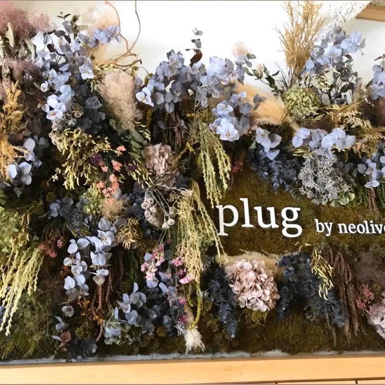 plug by neoliveの内観・外観2
