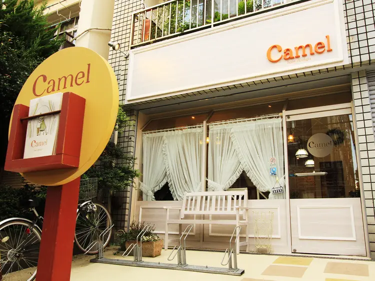 Camel hairdesignの画像