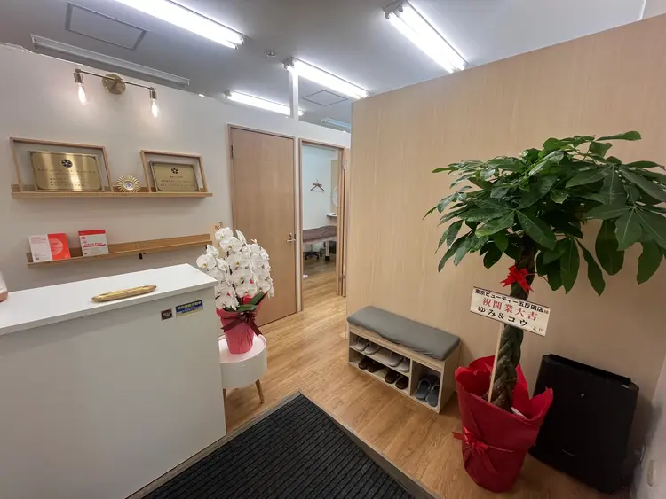 【脱毛/毛穴洗浄/インディバ】都度払いサロン東京ビューティースキンセンター五反田の内観・外観2