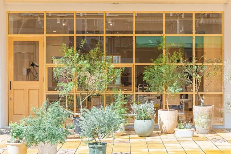 LYCKA SIDAの内観・外観1