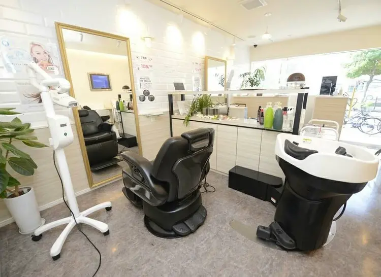 medical hair RoLOの画像