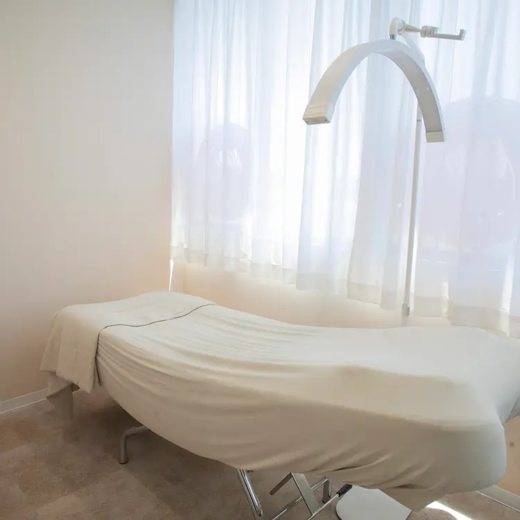 Madonna Lilyの内観・外観3