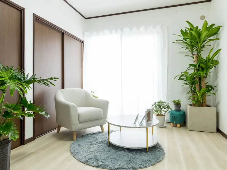 Polus Beauty Salonの内観・外観1