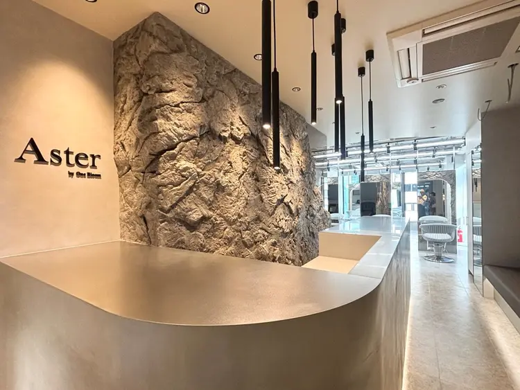 Aster by One Bloomの内観・外観1