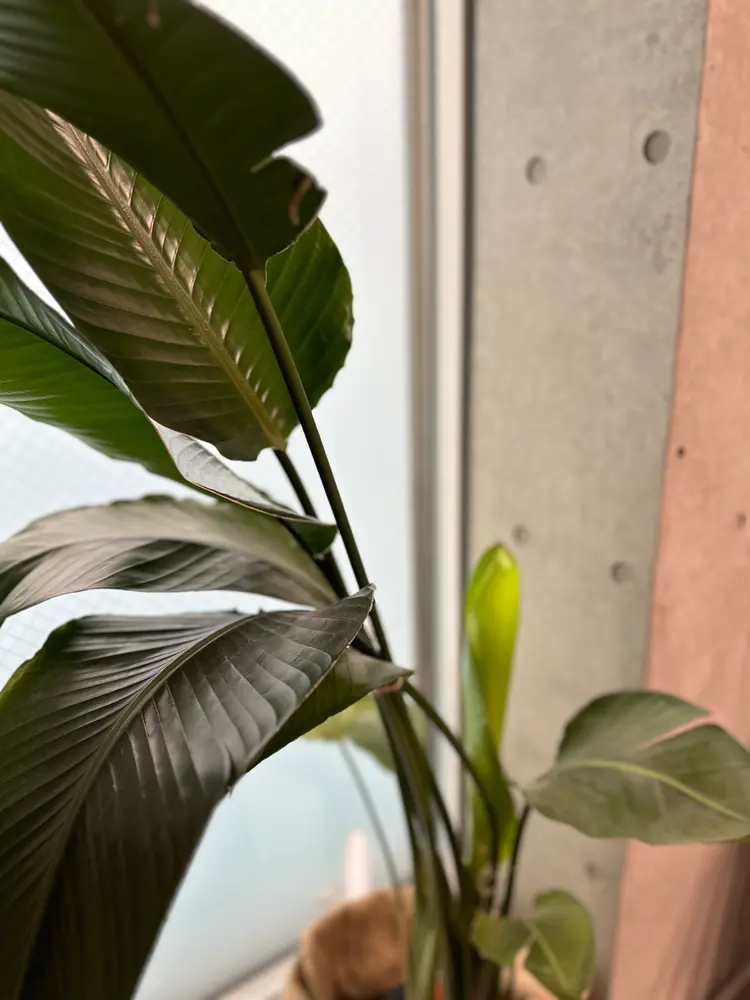 én nail room武蔵新城(エンネイルルームムサシシンジョウ)の内観・外観3