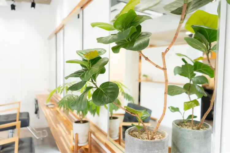 hair salon e.m.の内観・外観3