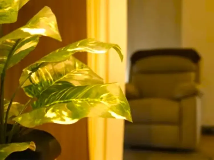 ヘッドミント荻窪店の内観・外観1