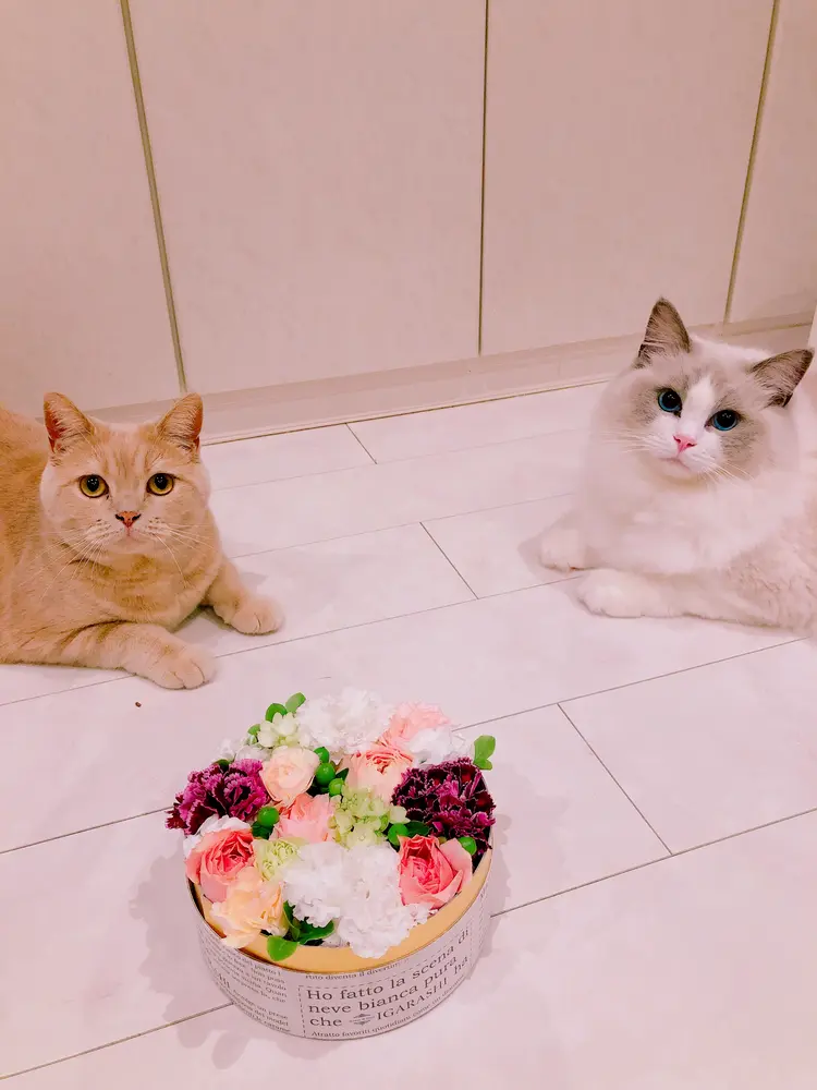 Usamimi Nailの内観・外観3