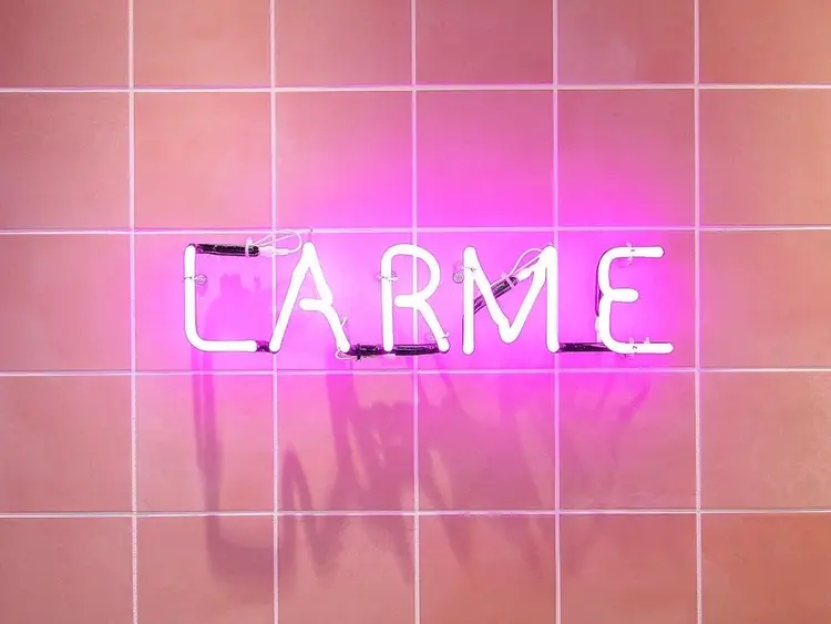 LARMEの内観・外観2