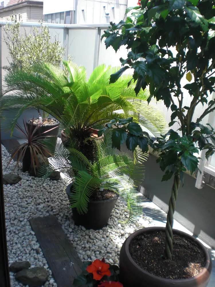 ROYAL・Therapistの内観・外観2