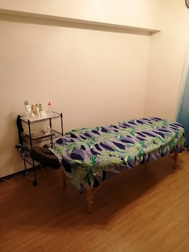 lima ho ola 鍼灸整骨院の内観・外観3