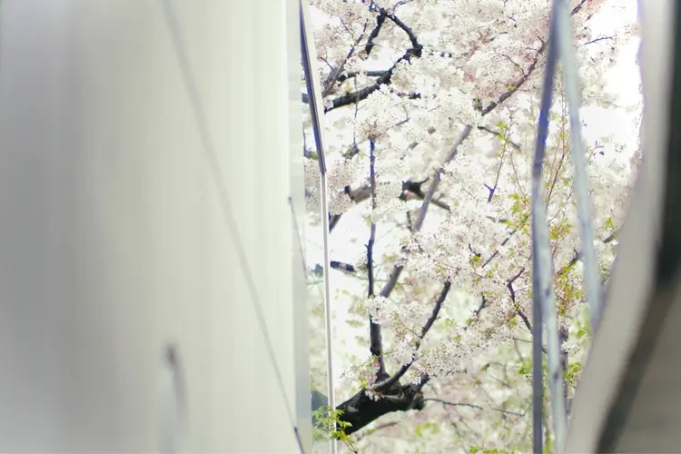 耳ツボ （イヤービューティセラピー®）温活サロン　flow labの内観・外観1