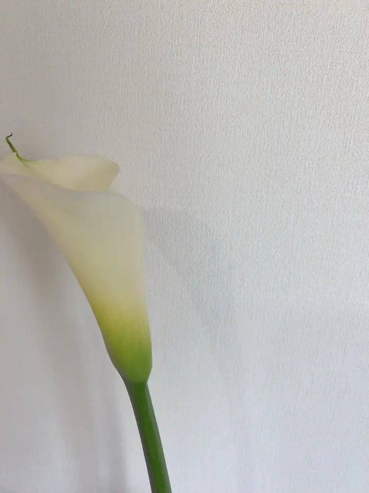 MEI happy nail salonの内観・外観3