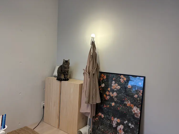 nail amuseの内観・外観2