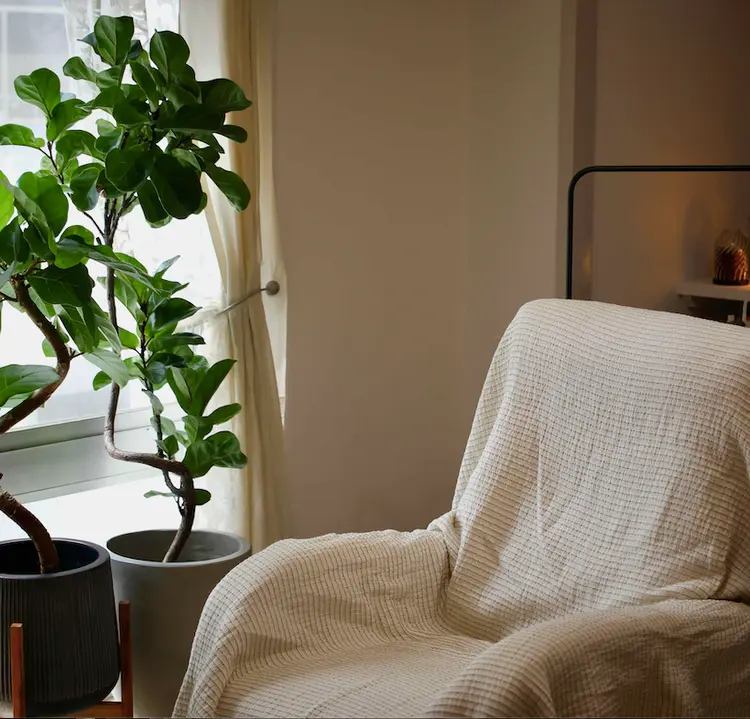 HAY eyelash&care ヘイアイラッシュアンドケアの内観・外観1