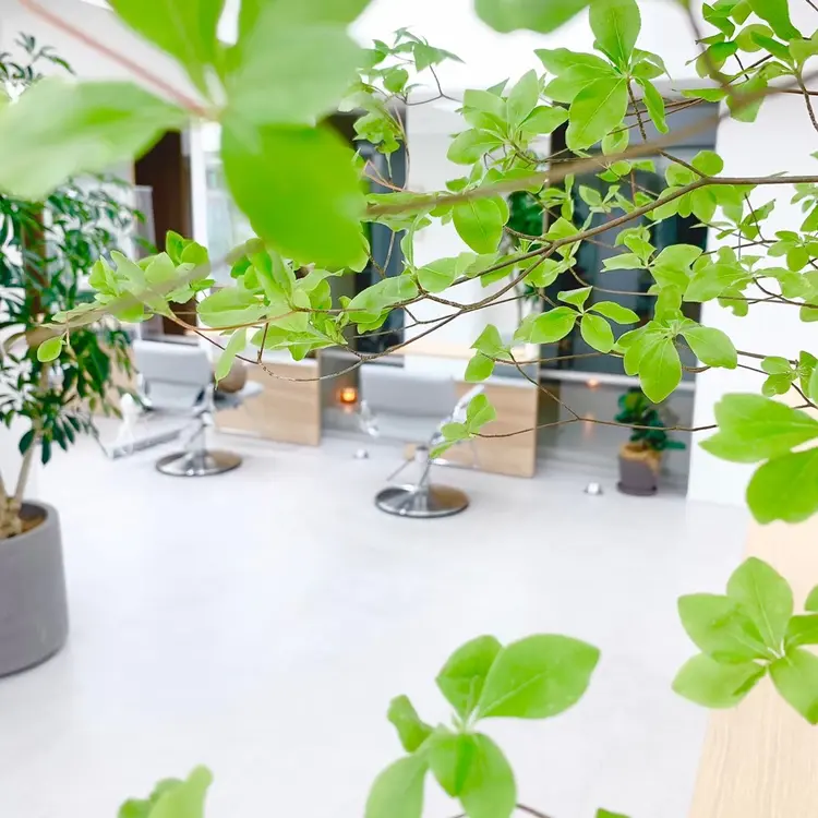 Beautism Elmの内観・外観2