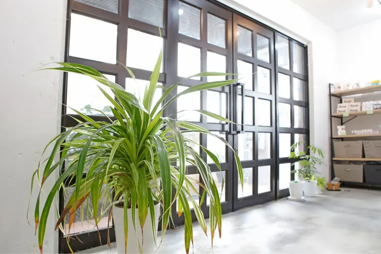 SABOの内観・外観3