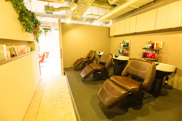 RAPT bisの内観・外観2