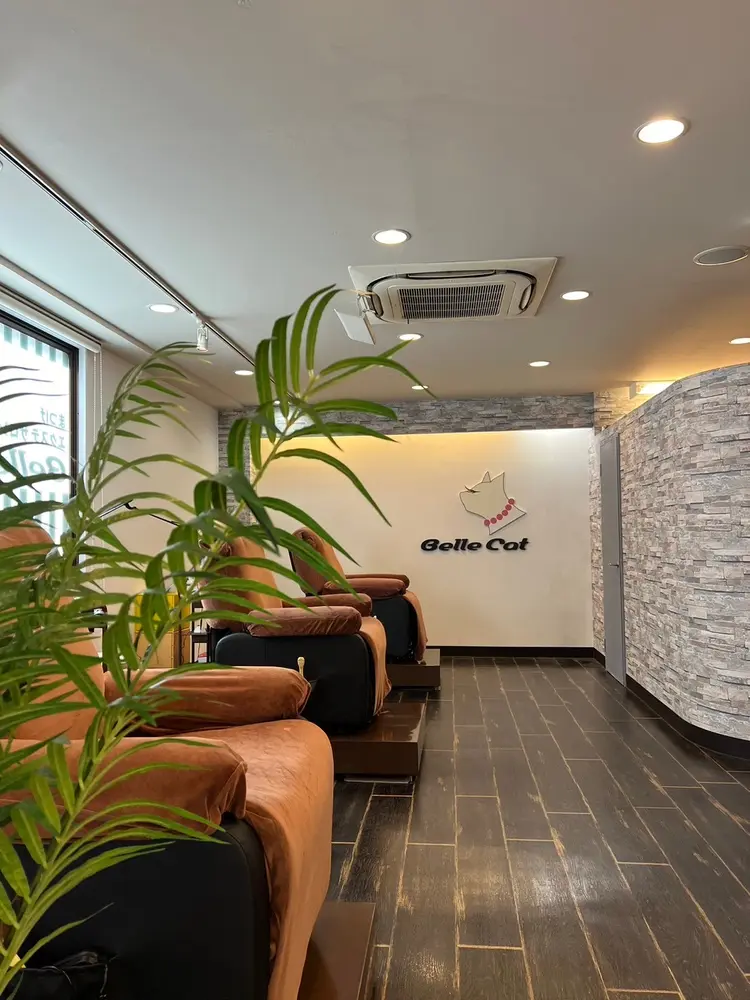 Belle Cat【ベルキャット】の内観・外観1