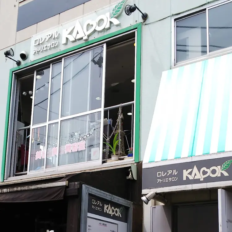 カポックの画像