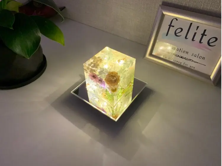 フェリーテの内観・外観2