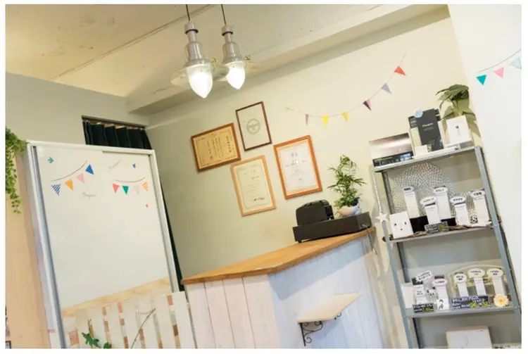 flap×flat(フラップ×フラット）の内観・外観3