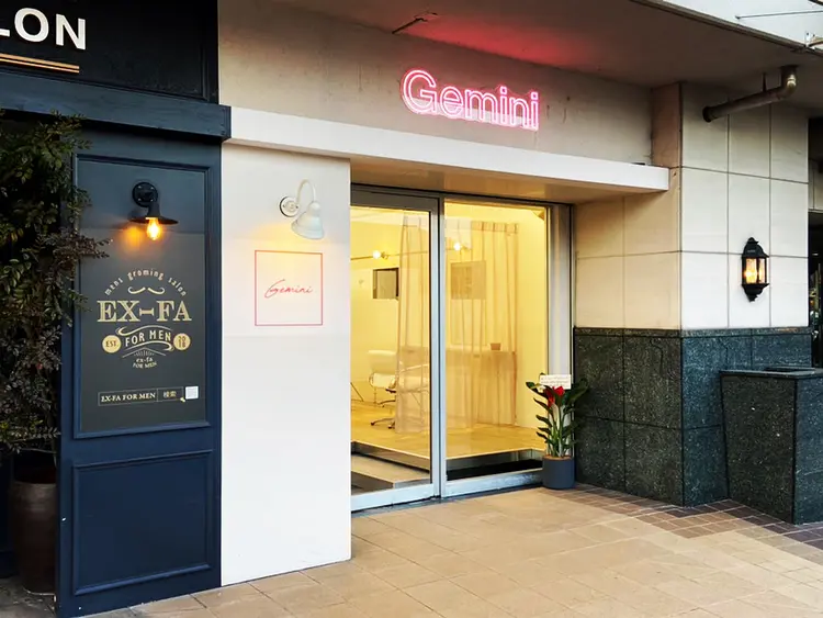 Geminiの内観・外観1