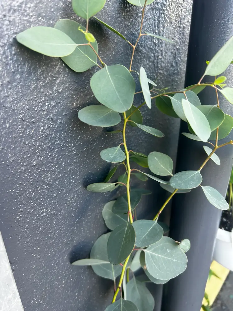 肌育専門SOLA+の内観・外観3