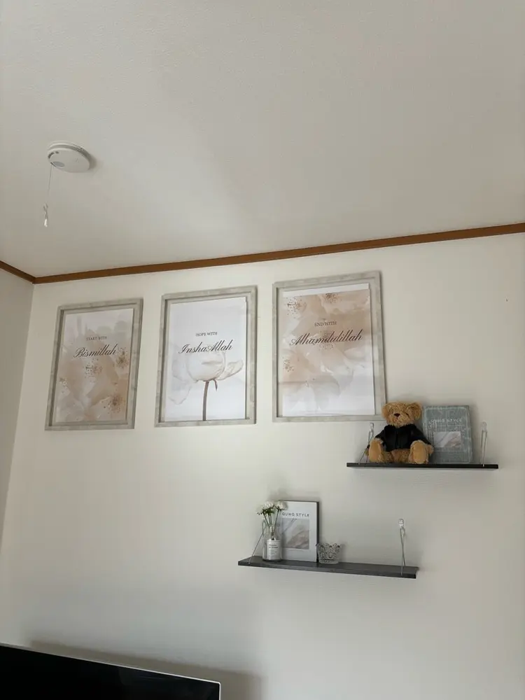 Baby Lionベビーライオンの内観・外観1