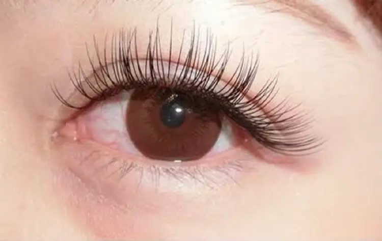 MAQUIA 砺波店の内観・外観2