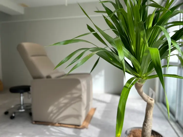 ヘイの内観・外観1