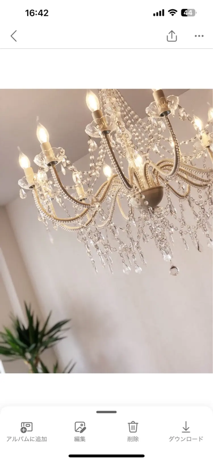 ruffle by.Luminasの内観・外観3